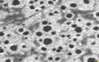 1933, Research center creation